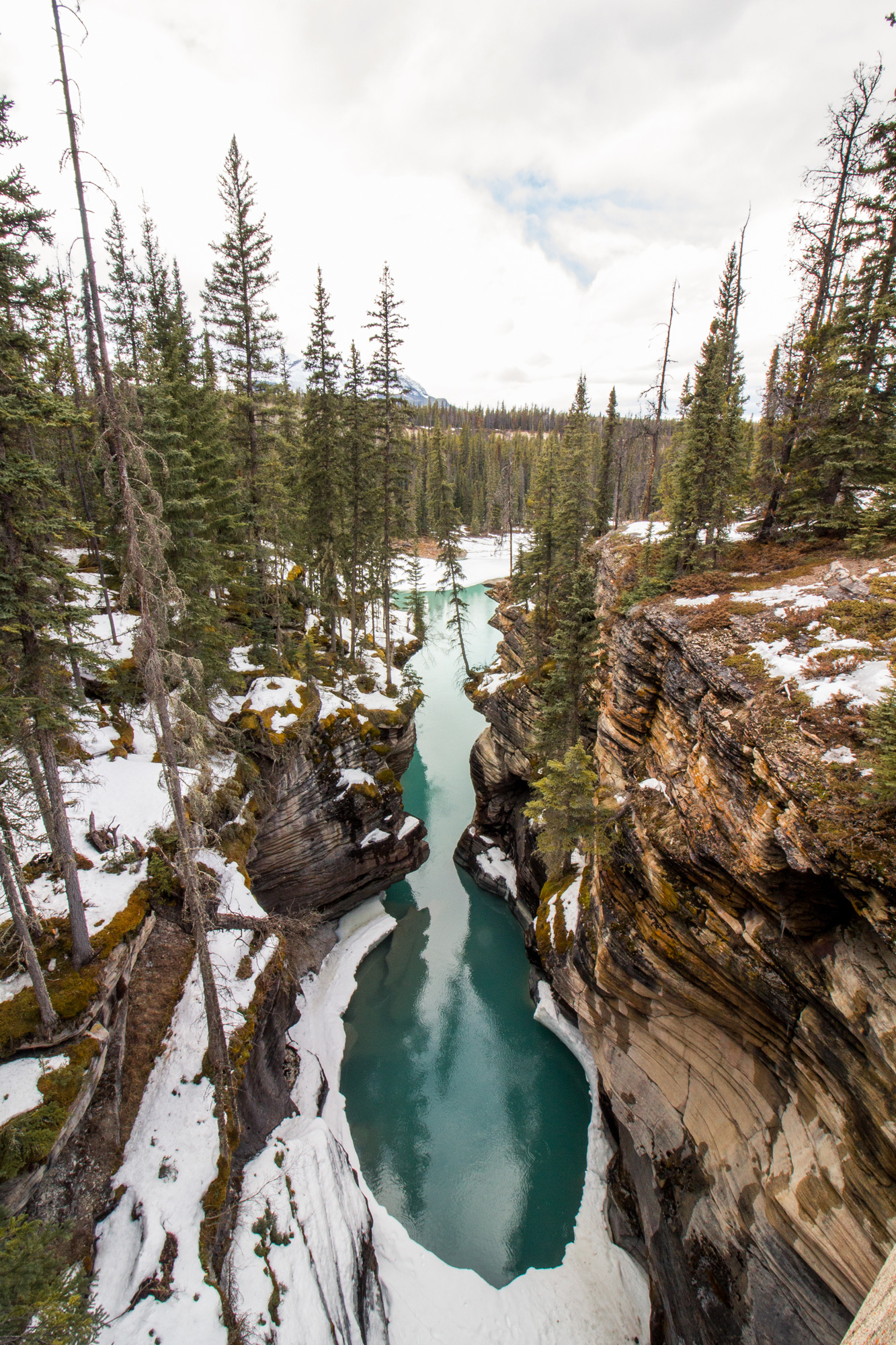 Athabasca-Falls, Icefield Parkway