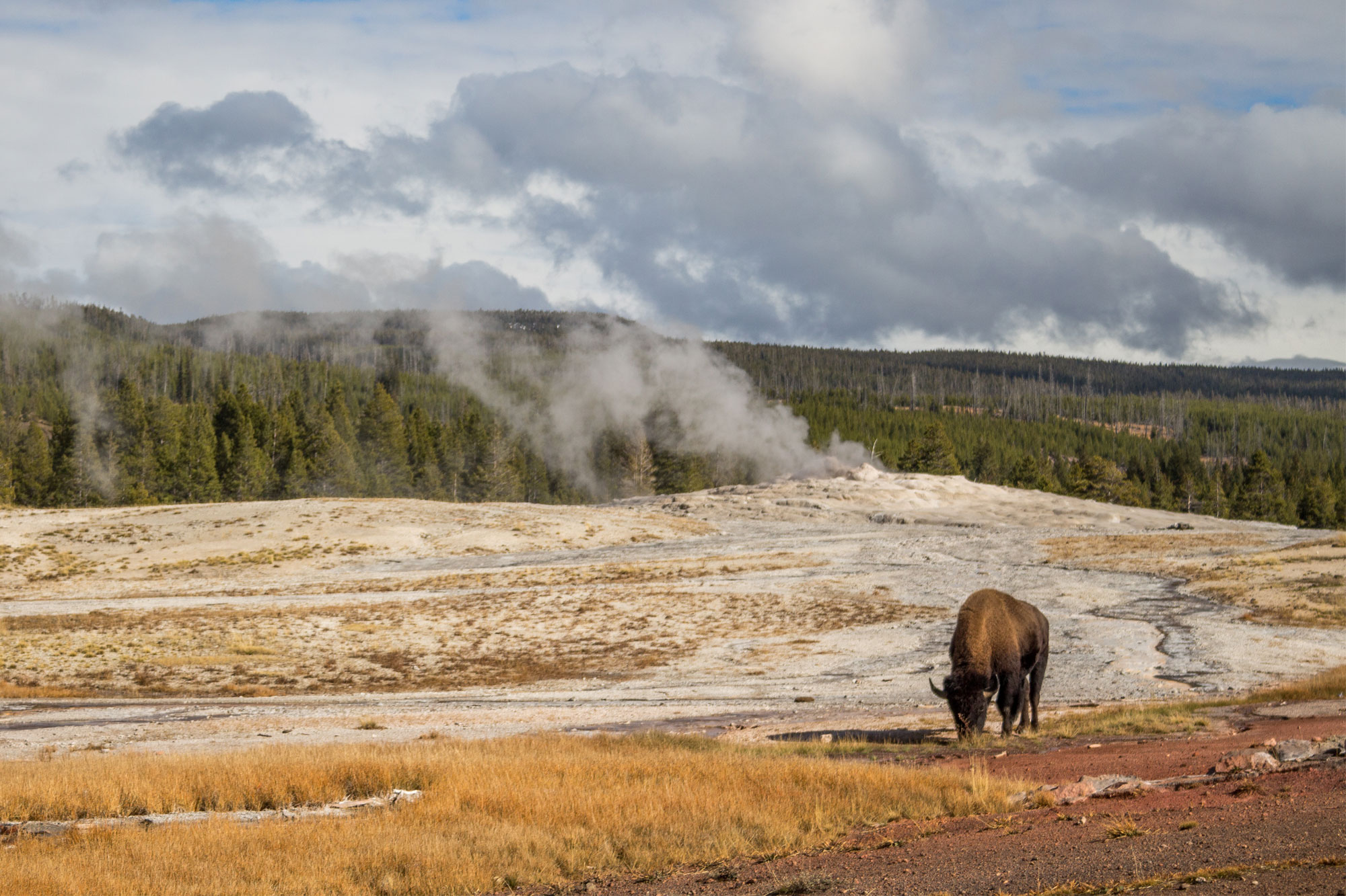 Yellowstone, American National Parks.