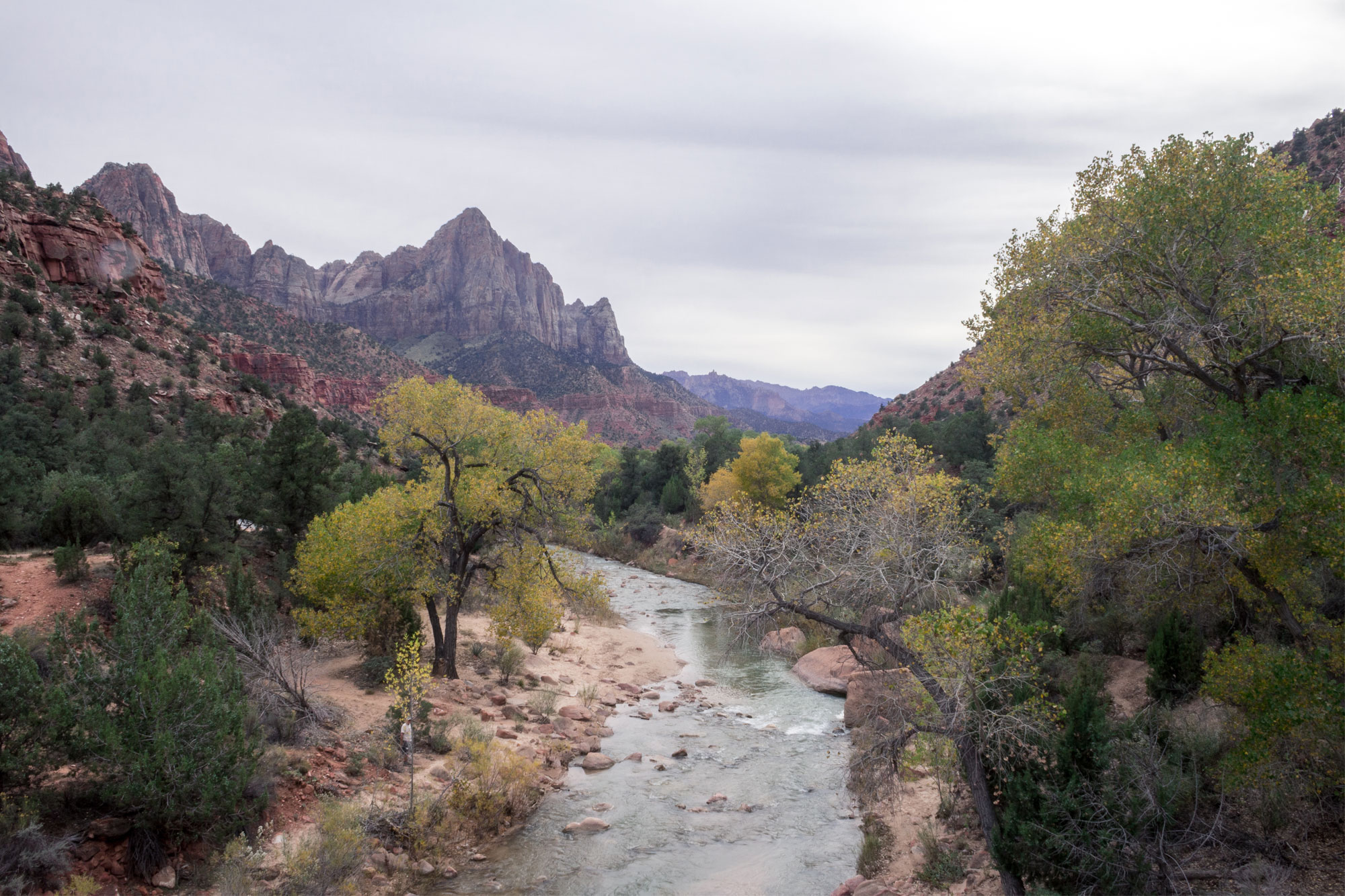 Virgin River from the bridge in Zion National Park